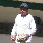 baseball genova jose